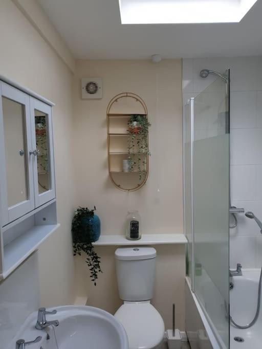 Апартаменти Two Bed Flat Sea View Old Town Гастінгс Екстер'єр фото